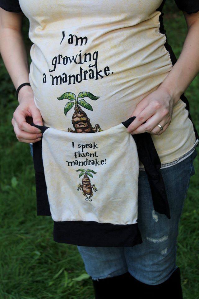 PRE-ORDER: HP Growing a Mandrake Parch PANEL REPRINT 2026 (ADULT)