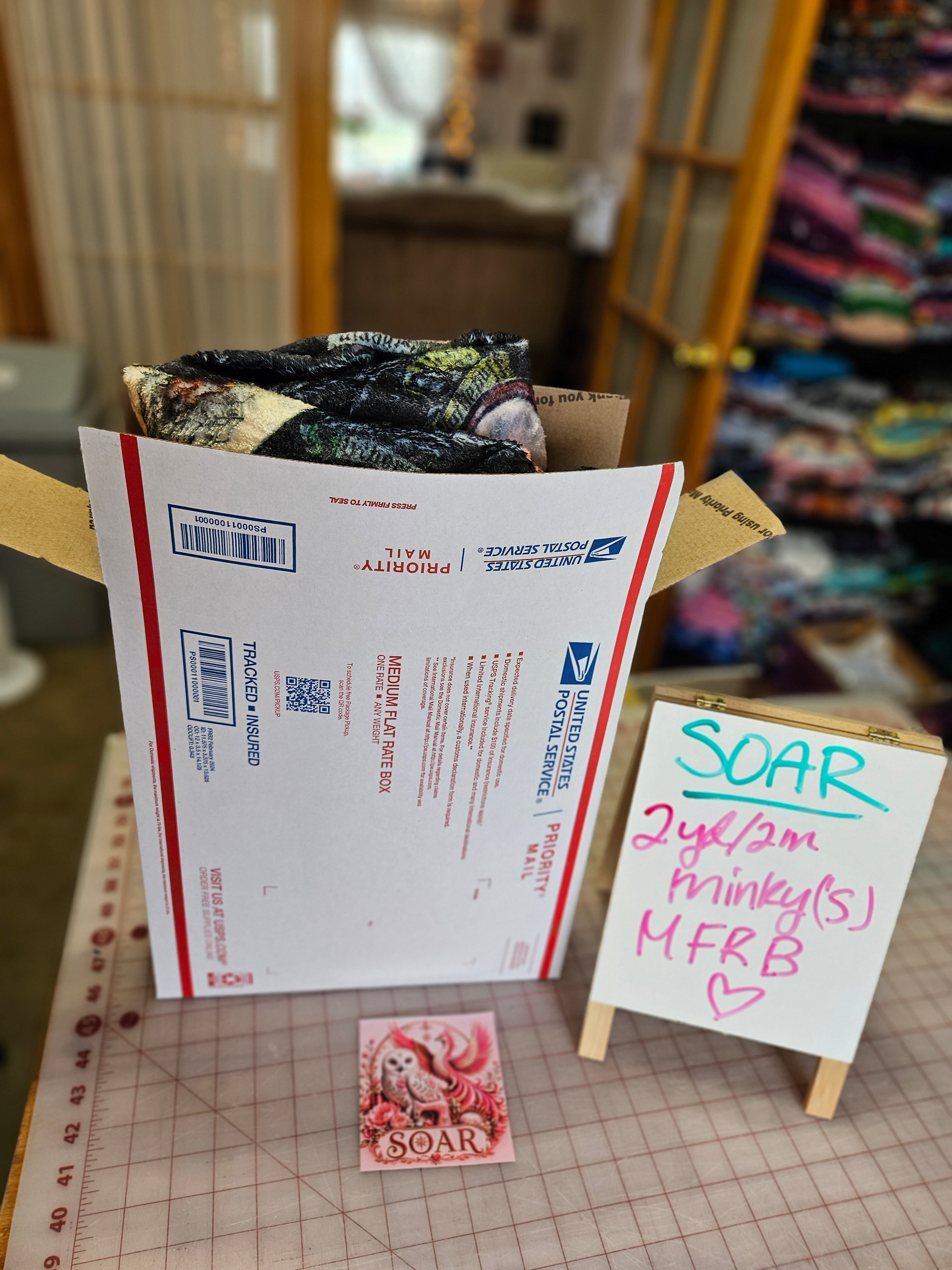 Mystery Pack/Box of Stretch Plush