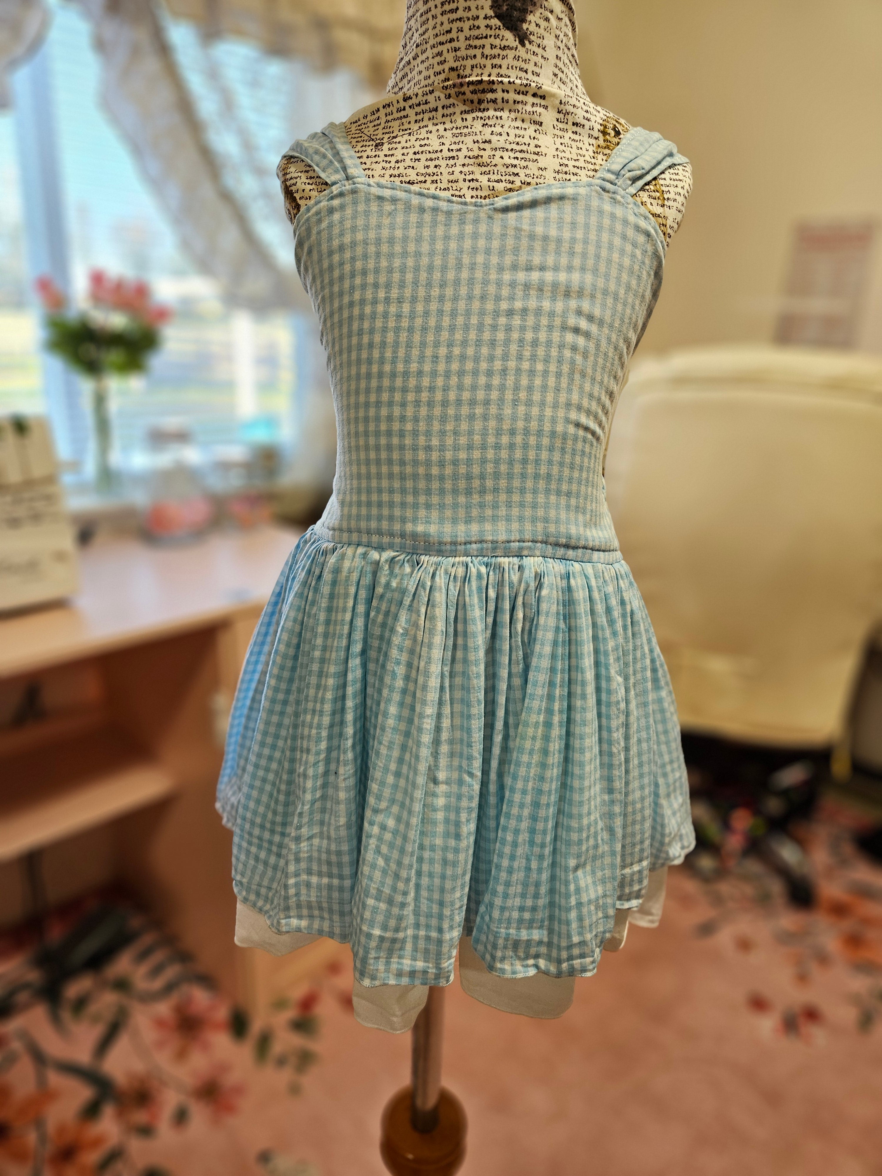 NEW GIRL'S Poppy CW Dorothy Wizard of Oz Dress 2T/4T
