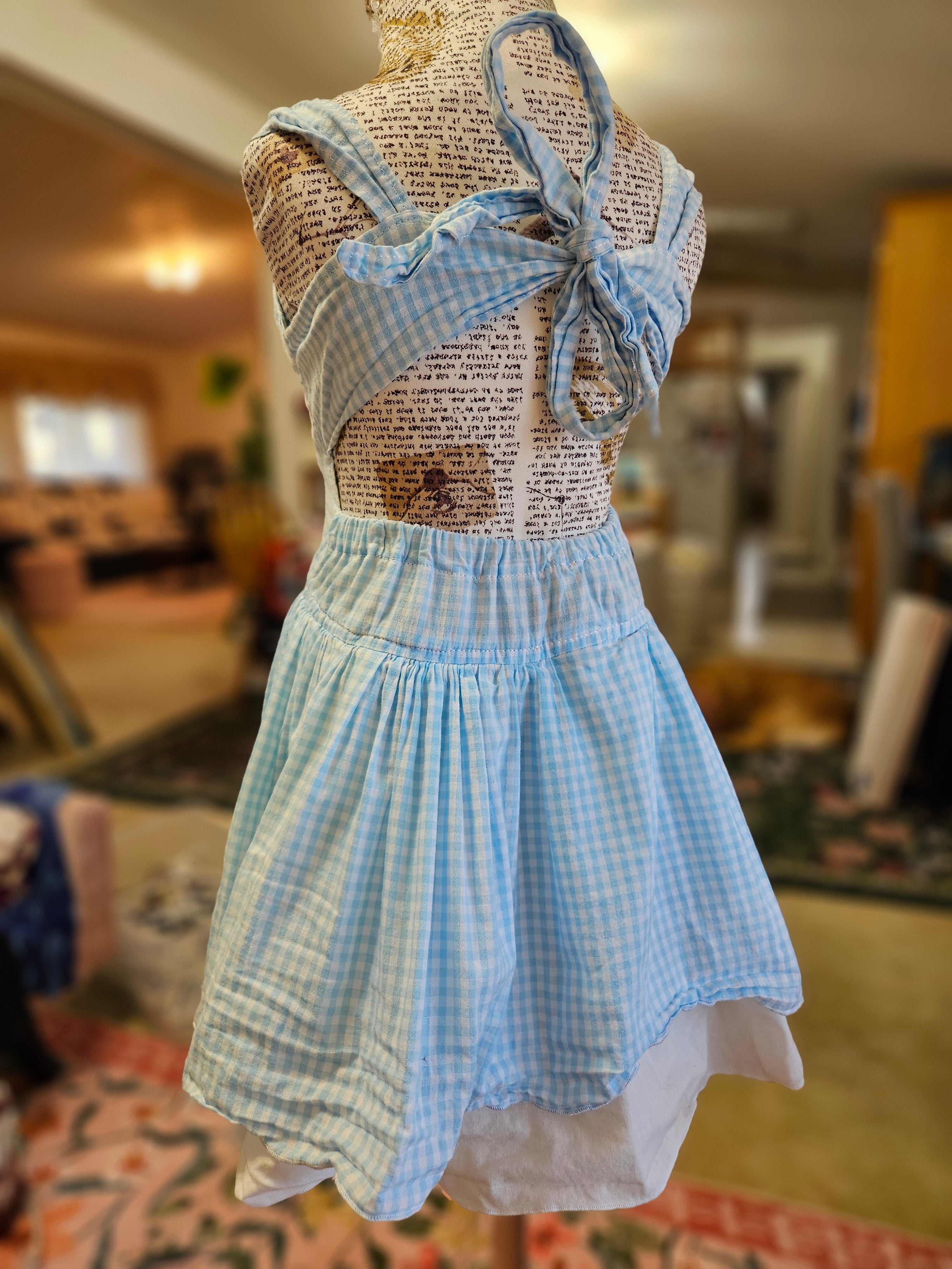 NEW GIRL'S Poppy CW Dorothy Wizard of Oz Dress 2T/4T
