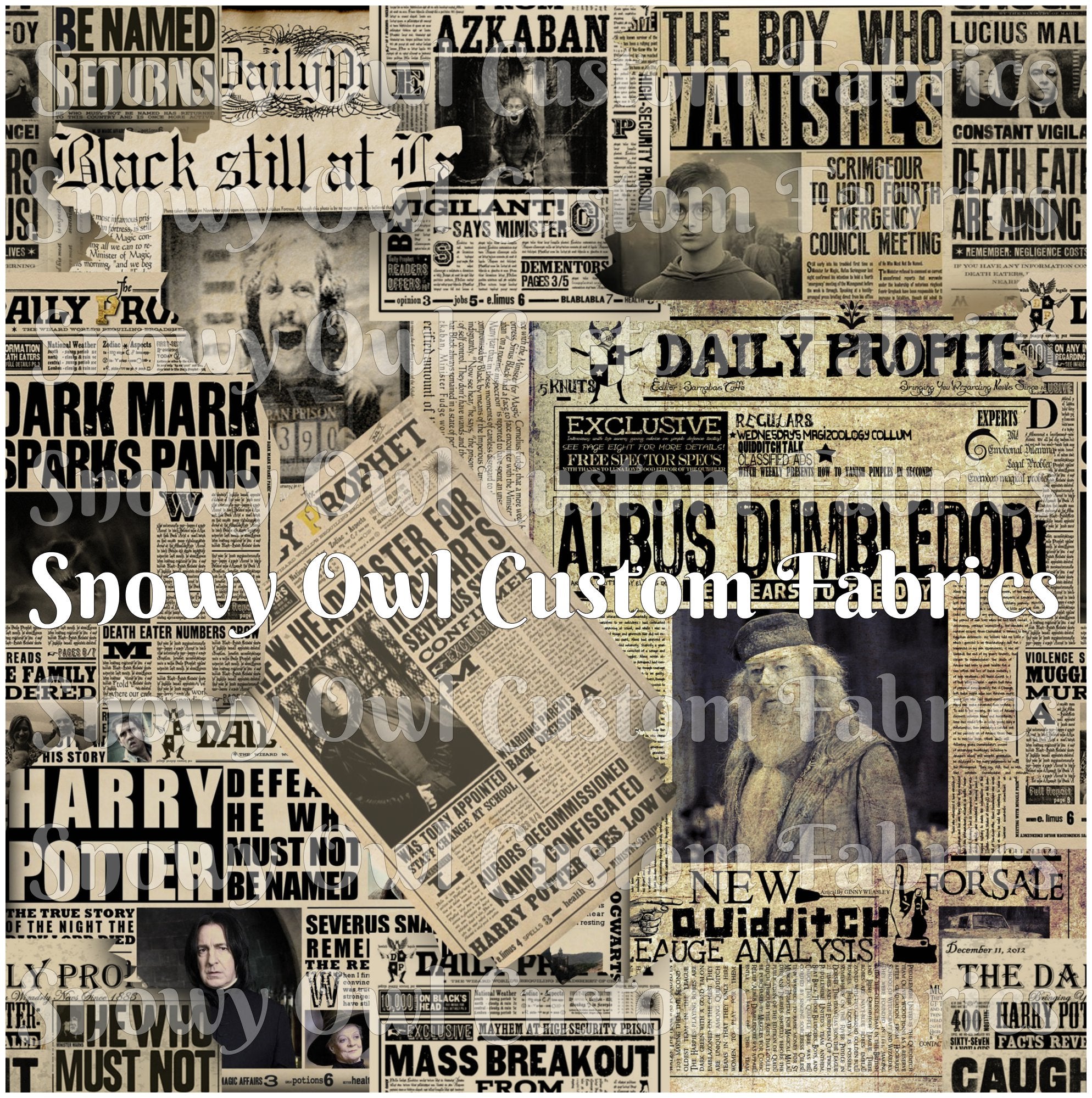 PRE-ORDER: Daily Wizarding News Reprint 2026