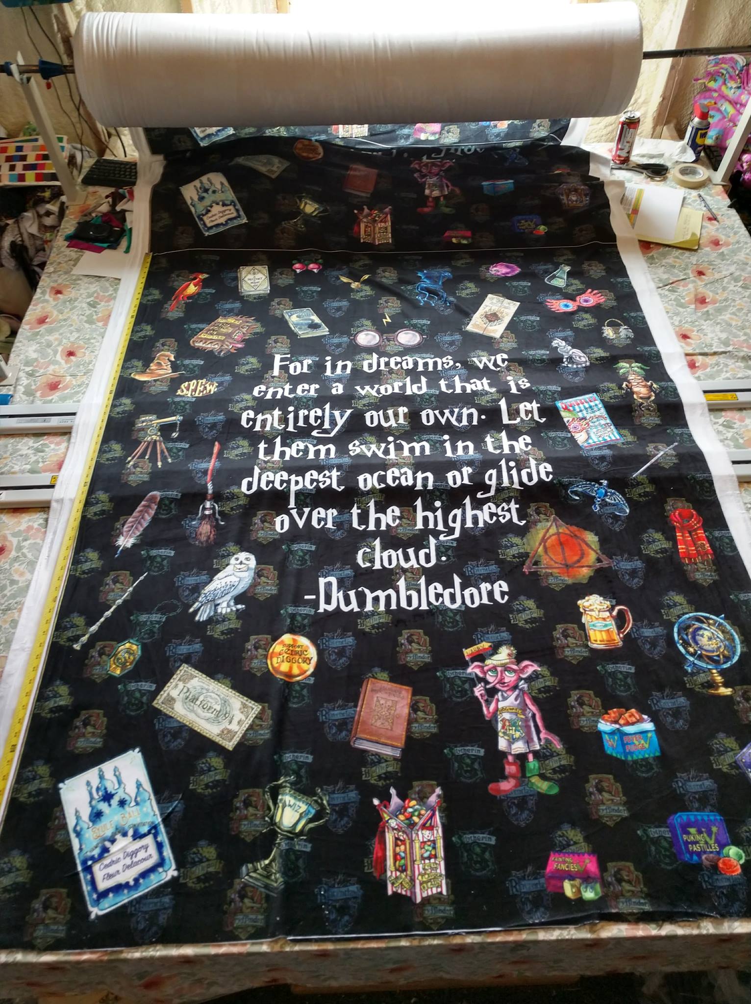 PRE-ORDER: HP Wizardry DREAMS ADULT 2 METER REPRINT 2026 BLANKET