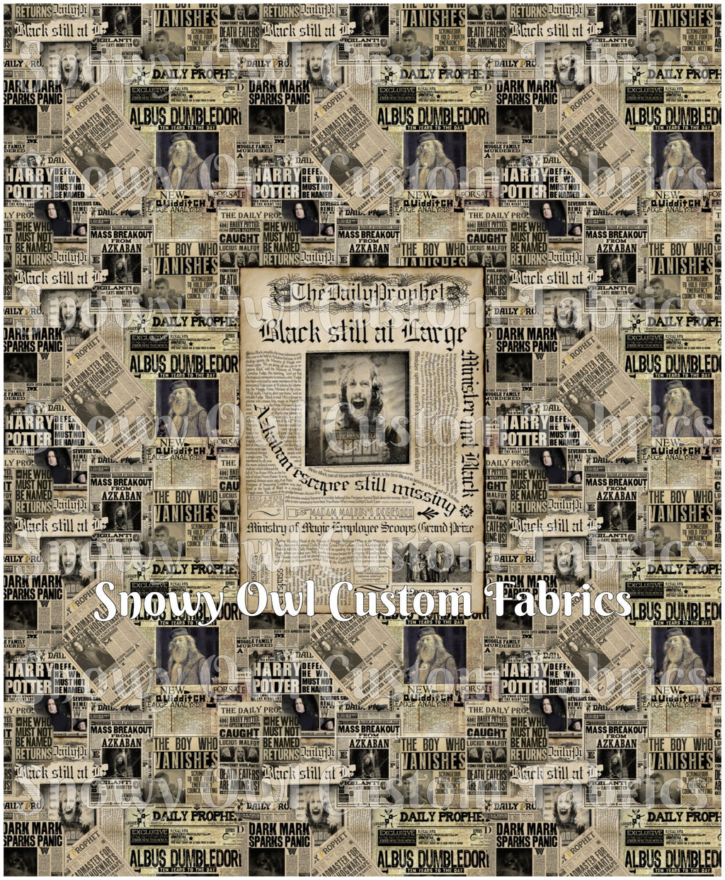 PRE-ORDER: HP Black Still At Large PANEL REPRINT 2026 (ADULT)