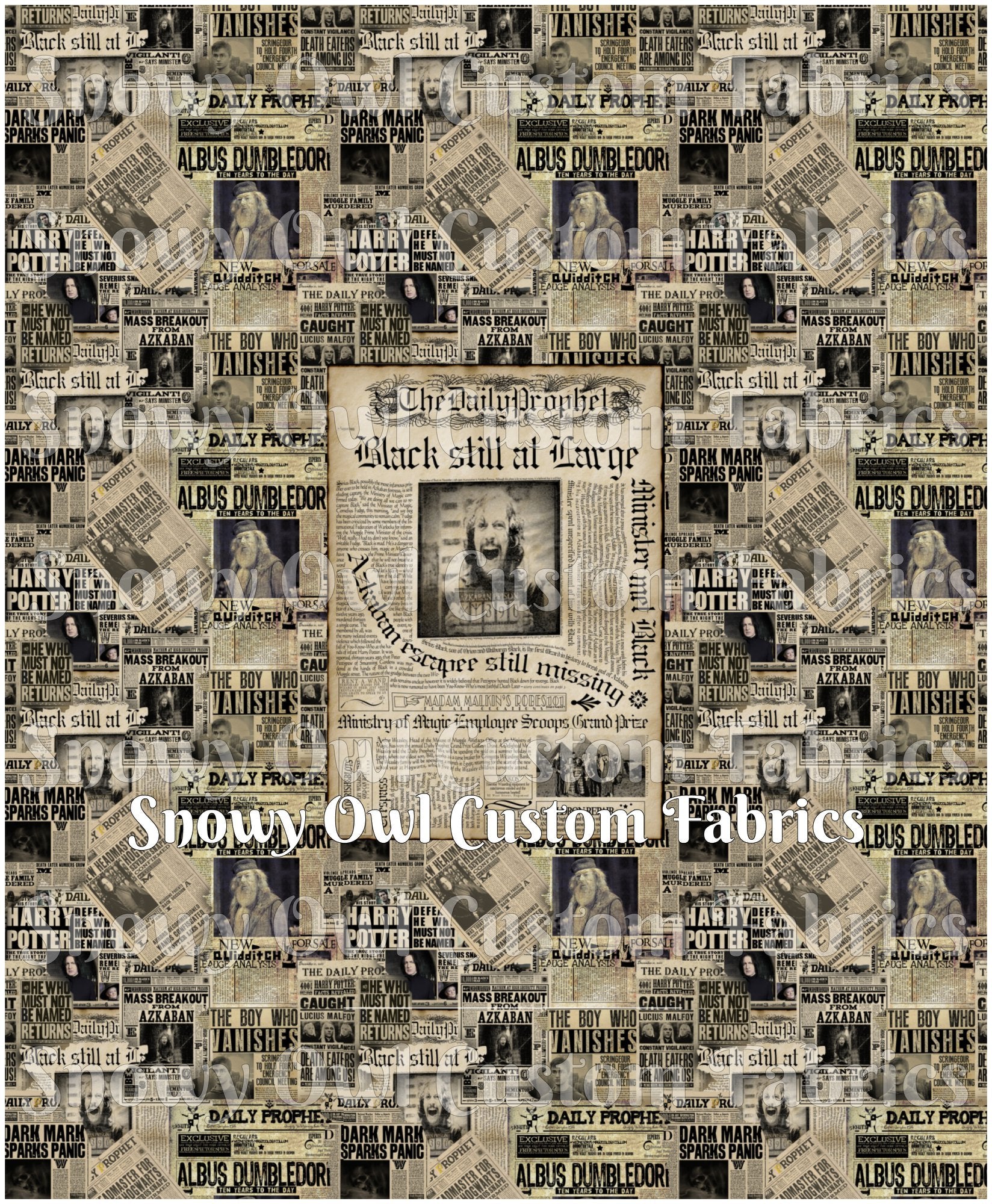 PRE-ORDER: HP Black Still At Large PANEL REPRINT 2026 (ADULT)