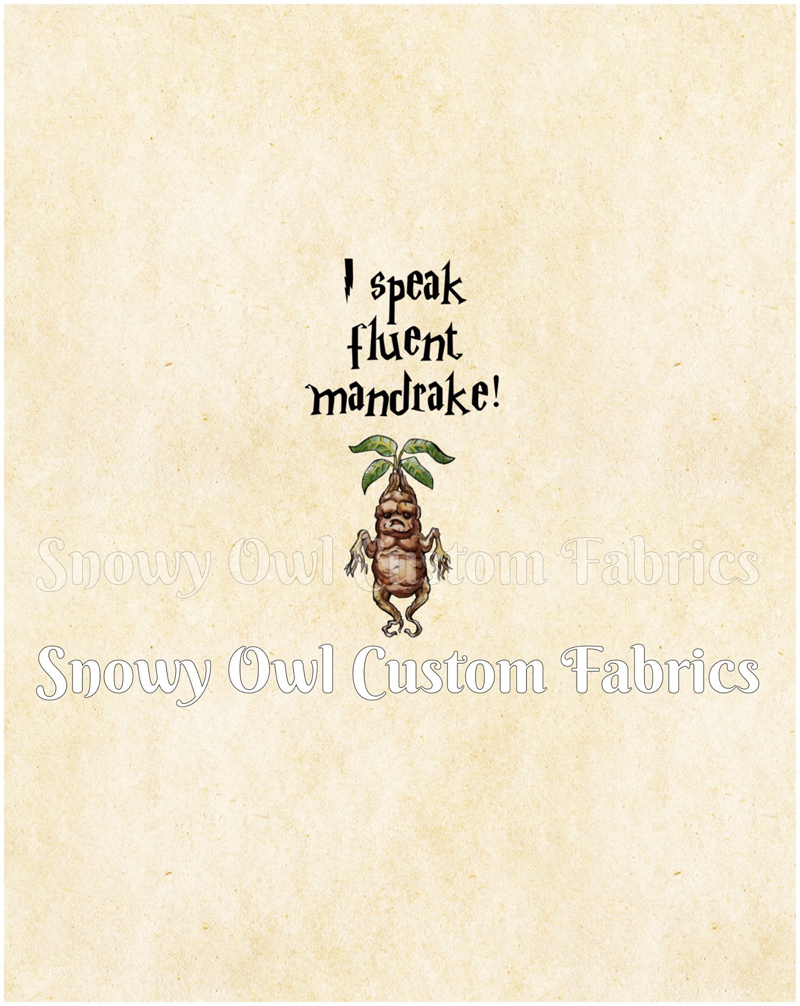 PRE-ORDER: HP Fluent in Mandrake Parch PANEL REPRINT 2026 (CHILD)