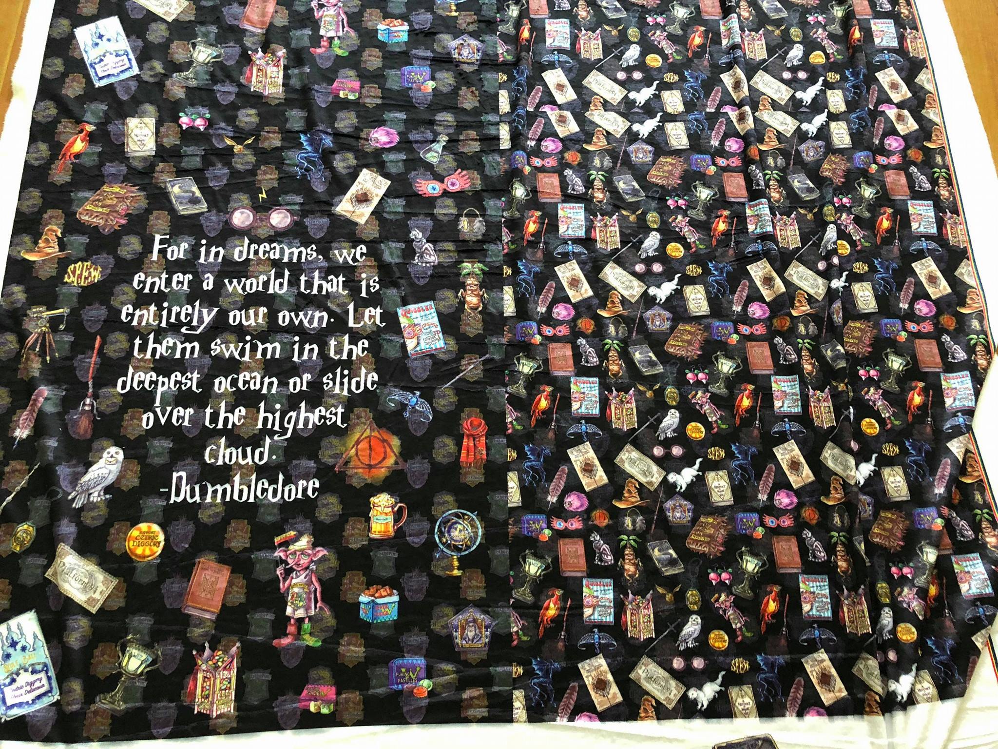 PRE-ORDER: HP Wizardry DREAMS CHILDRENS 1 METER REPRINT 2026 BLANKET Design