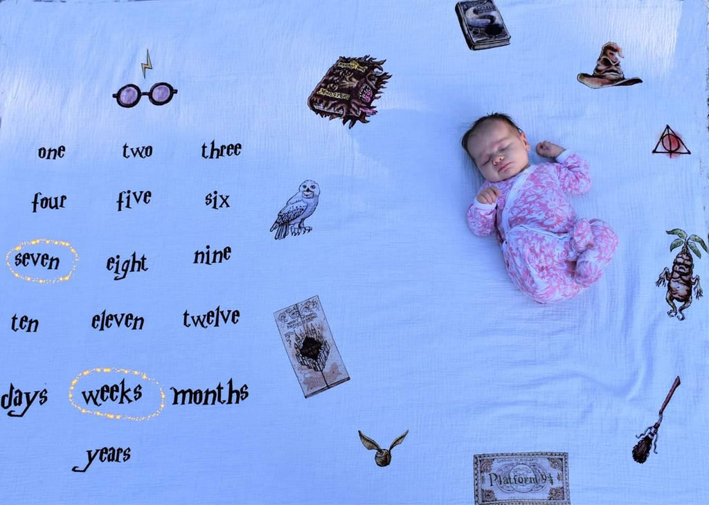 PRE-ORDER: HP WIZARDRY BABY MILESTONES BLANKET PANEL 1.5YD REPRINT 2026